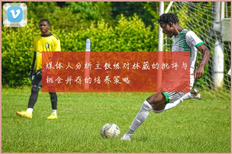 媒体人分析主教练对林葳的批评与机会并存的培养策略