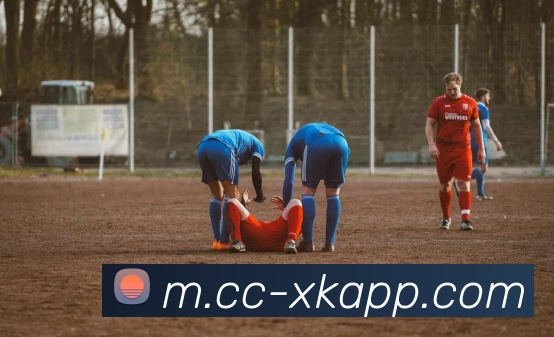 App Interface Preview
