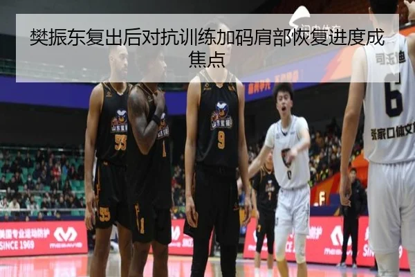 樊振东复出后对抗训练加码肩部恢复进度成焦点 | xingkongsport